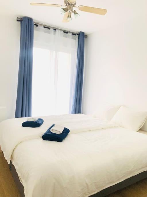 Cosy Apartement Near Geneva Saint-Julien-en-Genevois Exterior foto
